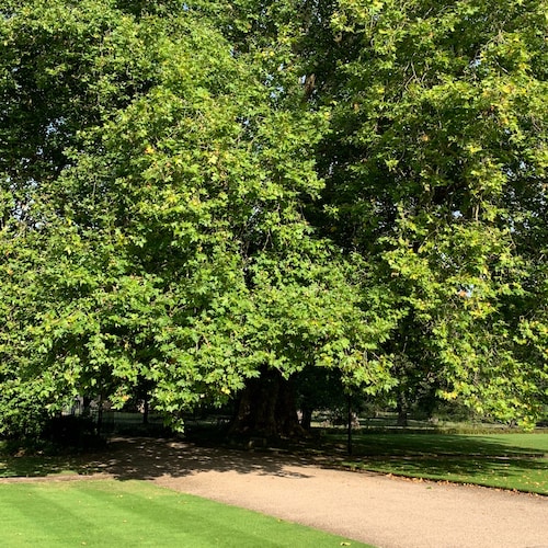 Visit bradleythayer's profile on GETTR. View their posts, photos, videos, and connect with them on the social platform.