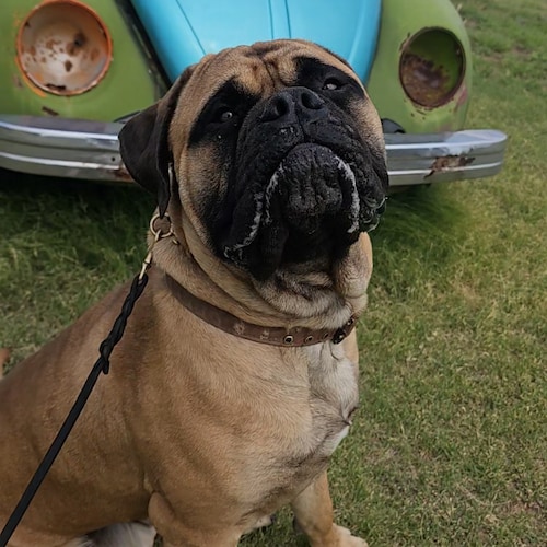 Visit JimmyLTX's profile on GETTR. View their posts, photos, videos, and connect with them on the social platform.