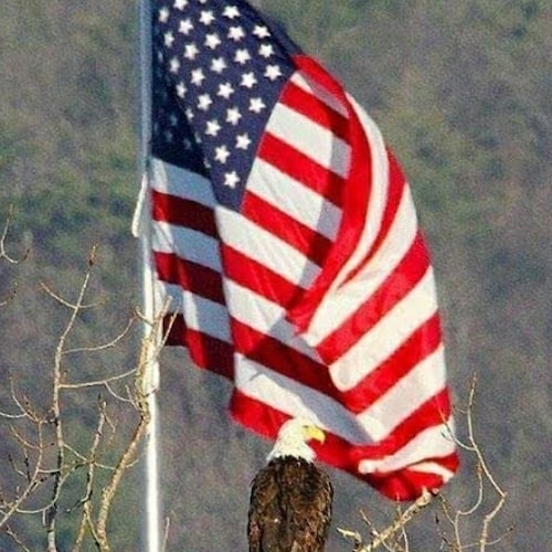 True AMERICAN that believes in GOD and FREEDOM L.O.C.K & L.O.A.D