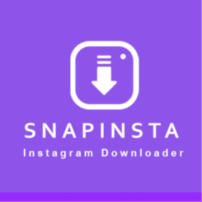 SnapInsta – Instagram Downloader to Save Video, Reels, Stories, and Photos Phone : 1 (510) 555‑3792
Website : https://s...
