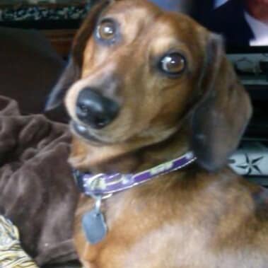 FATHER PATRIOT U.S. AIR FORCE VETERAN 554th RED HORSE Sq. RETIRED MOBILE EQUIPMENT MECHANIC/WELDER COMMUNITY RELATIONS