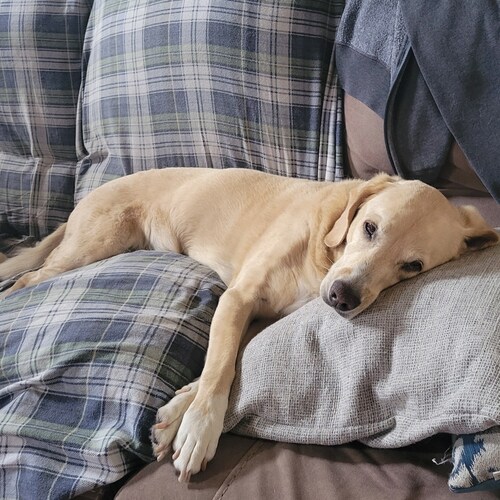 Love our Great USA 🇺🇸 ❤