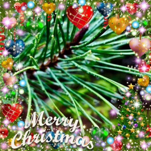 Christian, Conservative, Constitutionalist, America First. The truth will out!
Also on TRUTH @IdahoRedHWL