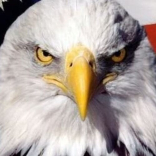 American Christian Patriot • MAGA • TrumpWON • Standing for Truth, Life & Freedom