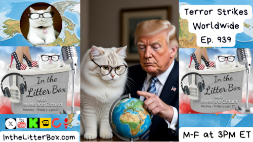 Terror Strikes Worldwide | In the Litter Box w/ Jewels & Catturd – Ep. 939 – 12/16/2025