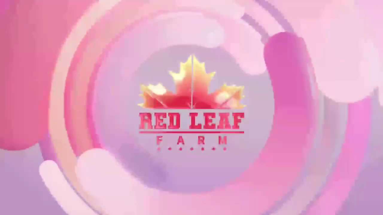 CCP Fuels Global Anti-Semitism: TikTok Is Weapon #1

The Chinese Communist Party (CCP) state media a...