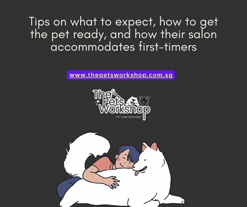 Tips on what to expect, how to get the pet ready, and how their salon accommodates first-timers-The ...