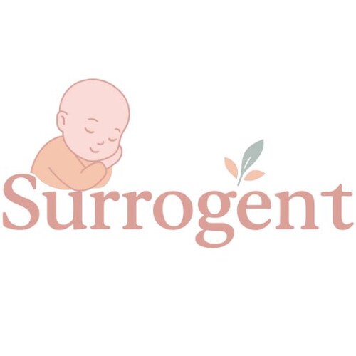 The surrogate mother process involves medical screening, legal agreements, embryo transfer, and pregnancy care to help i...