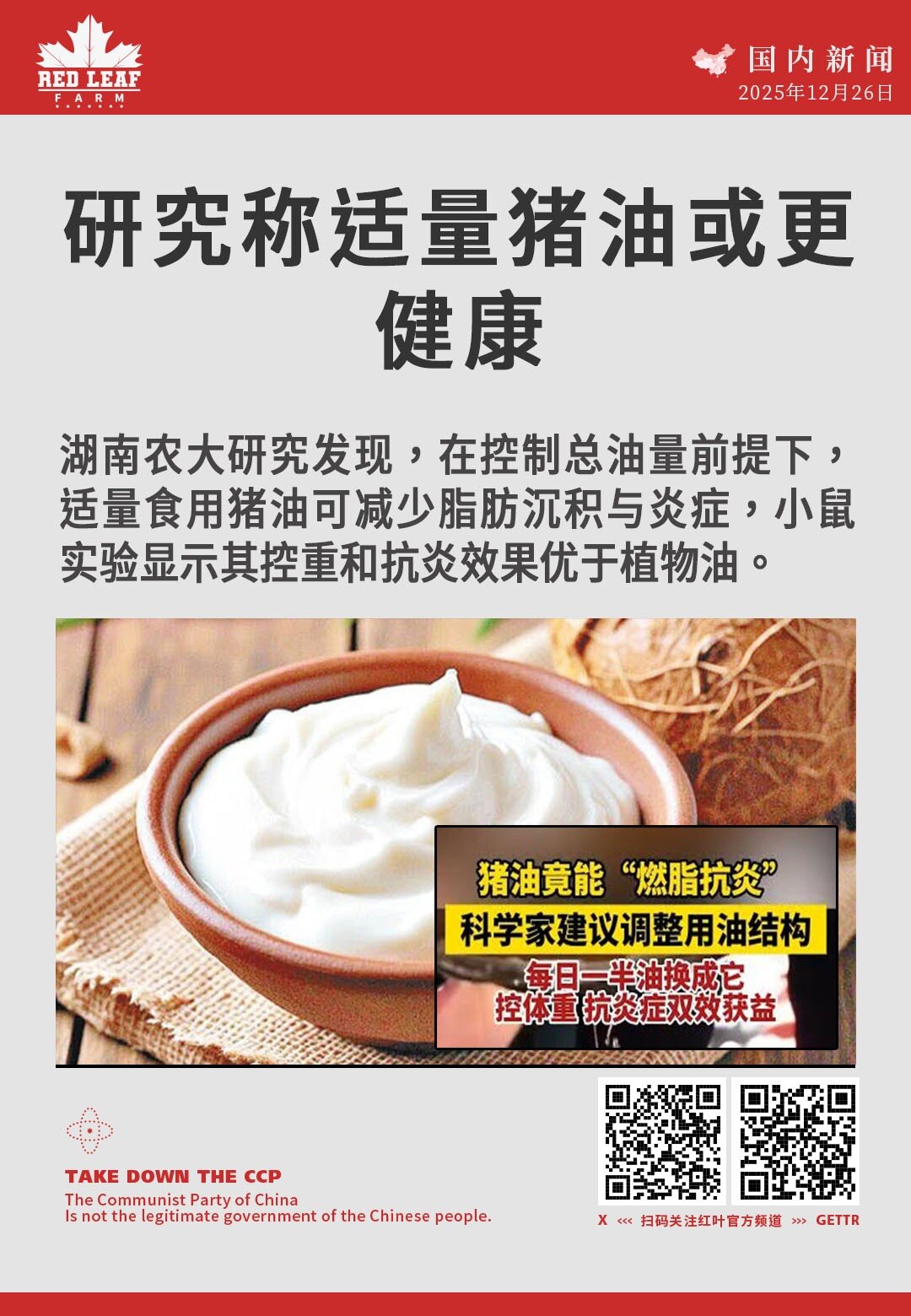 研究称适量猪油或更健康

湖南农大研究发现，在控制总油量前提下，适量食用猪油可减少脂肪沉积与炎症，小鼠实验显示其控重和抗炎效果优于植物油。
#猪油健康 #脂肪炎症 #湖南农业大学 #饮食结构 #2型糖...