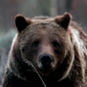 Soyez forts, soyez courageux,
soyez solidaires en communauté, et surtout unissez-vous dans la résistance 🇫🇷