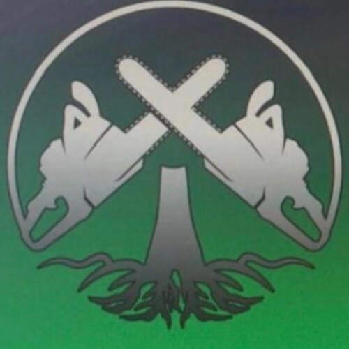 TSR Trees Services Ltd is a professional tree care company providing reliable and high-quality services.