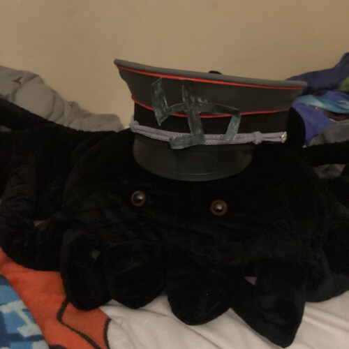 Horror lover
Autistic
ADHD
Almost extremist Conservative