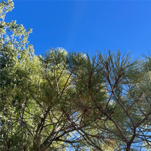 Visit Let freedom ring's profile on GETTR. View their posts, photos, videos, and connect with them on the social platform.