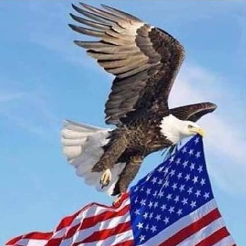 conservative, Trump Supporter,FB Chief inmate!Retired Navy Chief Corpsman, Master Mason, Retired Corrections Officer, pa...