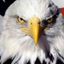 With Love WE Are Forever Continuing to Evolve and Transform Our World, Excellence is not a skill, it is an attitude