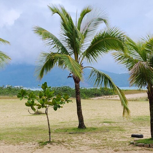 Full Stack Developer, I fight for goals, conservative, looking for renewal.