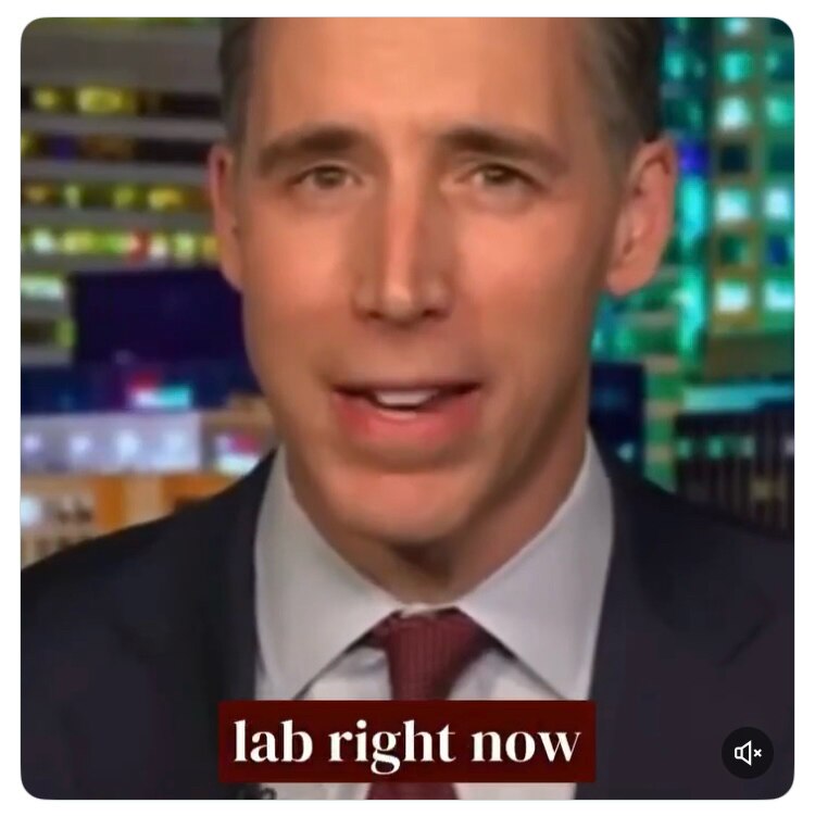 ELON MUSK
True !

Senator Josh Hawley say what the Democrat Party is doing in Minnesota is their pla...