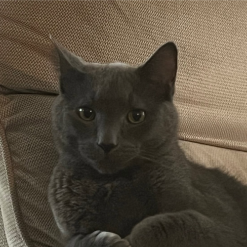 Hairstylist/Cosmetology Teaching Certification Love President Trump and huge Kiss fan....yes the band. I just love music...