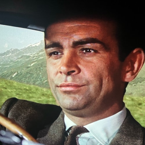 Voted for MAGA got a MIGA Traitor instead