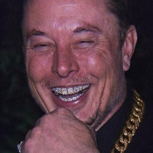 Visit Elon Reeve Musk's profile on GETTR. View their posts, photos, videos, and connect with them on the social platform.