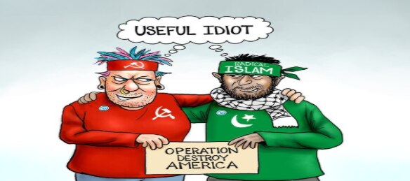 Democrat Politicians Sacrifice More Pawns....
The Useful Idiots haven’t yet figured out that they’re...