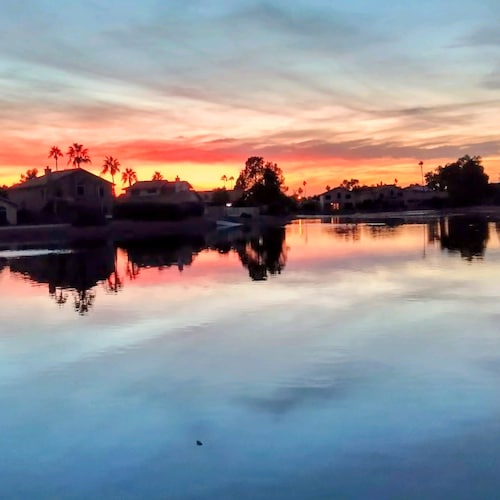 GOD, Wife, Ringo, Dani, 
We need to feed pigs Islamic Jihadists & rid them from AMERICA. SAVE CHRISTIANITY, we are not t...