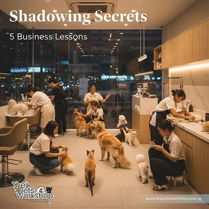 Shadowing Secrets: 5 Business Lessons You Can Only Learn from a 24-Hour Stint Inside a Busiest Singa...