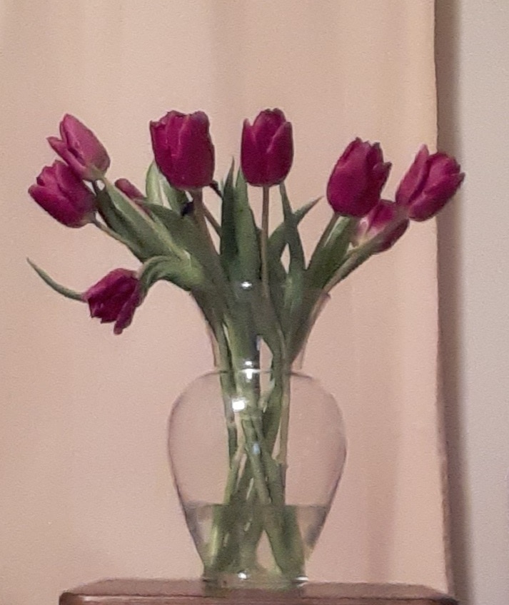 Needed a little cheer for yet another cold winter day.  Worth.  Every.  Penny.