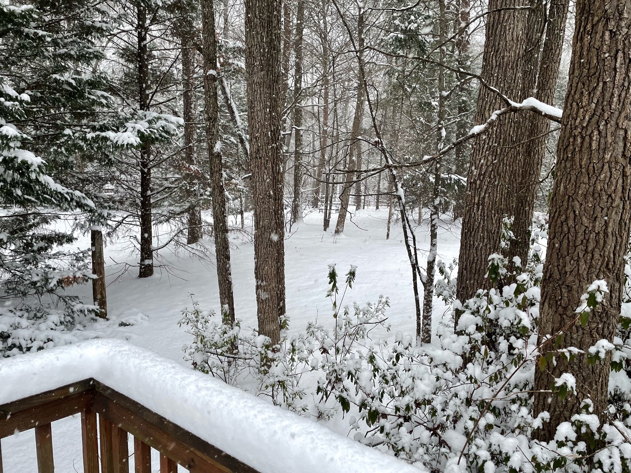 View Jon Crochet's post on GETTR. Join the discussion, share your thoughts, and connect with the community.