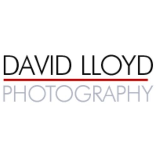 David Lloyd Photography is a Phoenix-based studio offering Hollywood-inspired fine art portraits, weddings, branding, an...