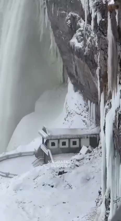 G Morning dear Family! Hope everyone is safe, take good care, have a good day, GOD bless you All! 🤗...