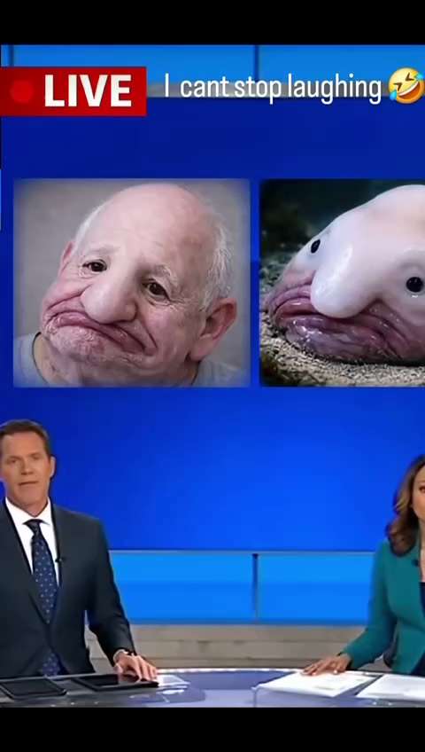 Well, as the world has lost its marbles, we might as well have a Friday chuckle! 😊😁🤣🤣