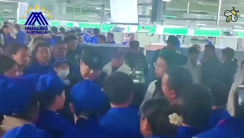 編號：4️⃣1️⃣3️⃣
【中共乱象】「西安比亚迪工人罢工抗议被降薪（2026.02.05）」2月5日，比亚迪位于陕西西安高新区集贤工业园的高压电气工厂工人集体罢工，抗议比亚迪压低记件奖。据工人透露，...