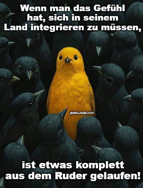 查看 EvelineSchwarz 在 GETTR 上的帖子。加入讨论，分享您的想法，与社区联系。