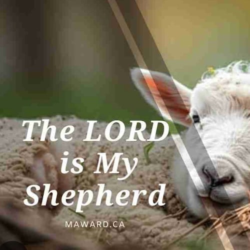 Visit K3624 ❤️🤍💙🇺🇸🙏's profile on GETTR. View their posts, photos, videos, and connect with them on the social platform.