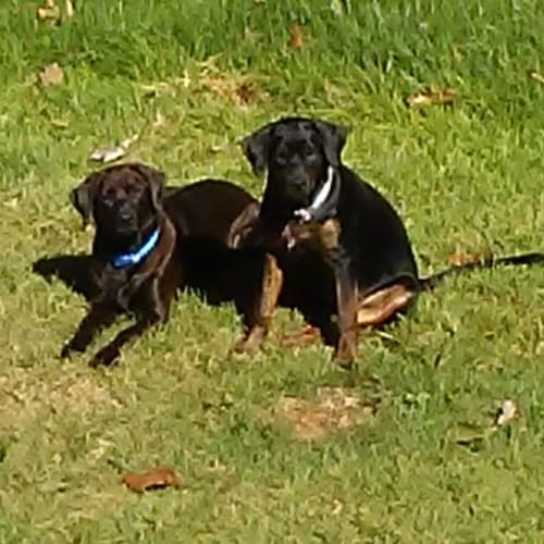 Term limits are a must!