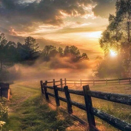 WARNING! Not responsible for your state of mind after encountering mine!Life long Packers fan! Fed up with Congress, Bid...