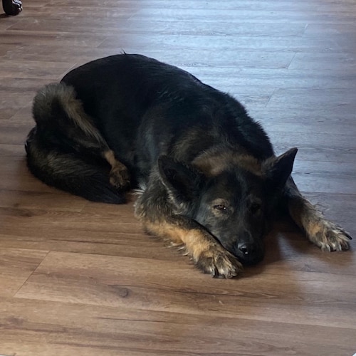 I'm quite a nice person, but never press the Mother Fucker button.