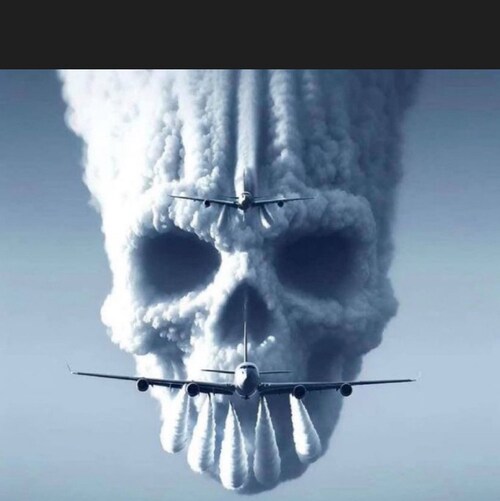 Trump won 2020 🇺🇸❤️🙏🏼