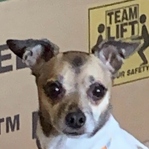 Keep America Great!
ENOUGH OF ALL THIS DEMOCRACY TALK! WE ARE A CONSTITUTIONAL REPUBLIC ! Citizen journalist! RAV/GETTR ...