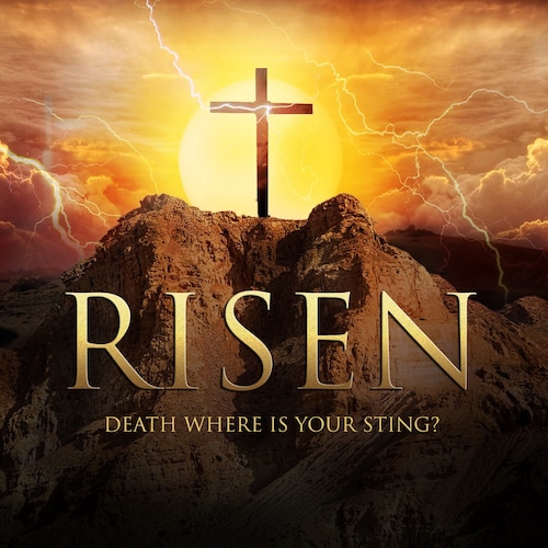 LOVE JESUS, LOVE my wife, Love Liberty. 
WarRoom Posse. Be Dangerous & Wise!