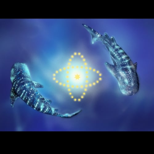 人生是一次体验灵魂进化的过程