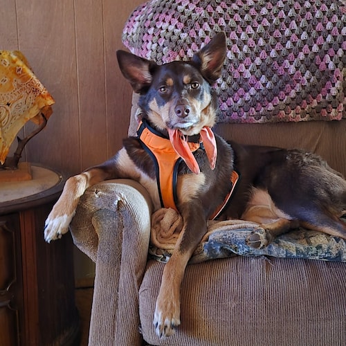 OUR GOVERNMENT! BETTER  GET ON THEY'RE  KNEES! TREASONOUS  BASTARD S! 💀☠️💀💩