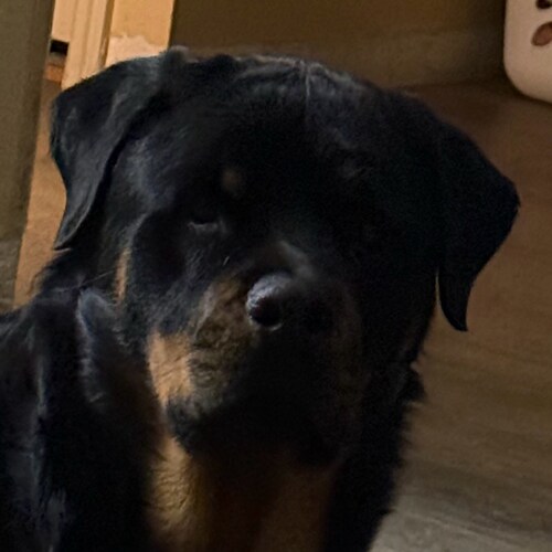 I AM NOT HERE TO HOOKUP i am happily married!!!I PROUDLY SUPPORT PRESIDENT TRUMP MASS DEPORTATION OF CRIMINALS