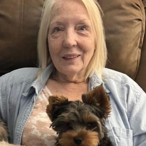 Adorable 💕 home trained puppies available for adoption and rehoming