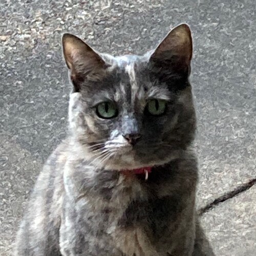 Hospital killed our beloved mother!
Can’t sue civilly cause EO protection.
No Statute of Limitations on Murder!
Get ur r...