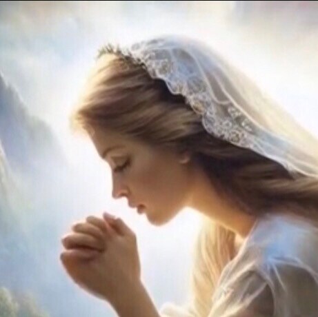 Visit Marie's profile on GETTR. View their posts, photos, videos, and connect with them on the social platform.