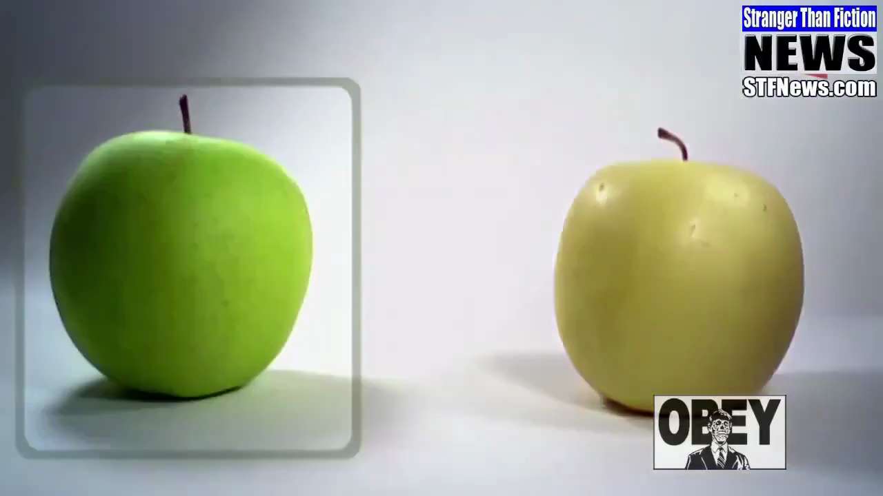 Grocery Store Fruit is gassed with a petroleum-based chemical, called SmartFresh, just to extend she...
