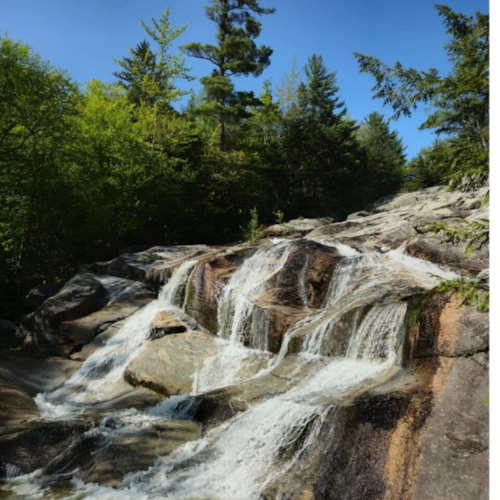 Visit Wise_Reader's profile on GETTR. View their posts, photos, videos, and connect with them on the social platform.
