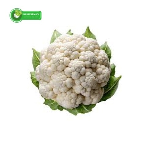 Góp mặt trong nhiều bữa cơm gia đình, súp lơ trắng được yêu thích nhờ sự tươi ngon và giá trị dinh d...